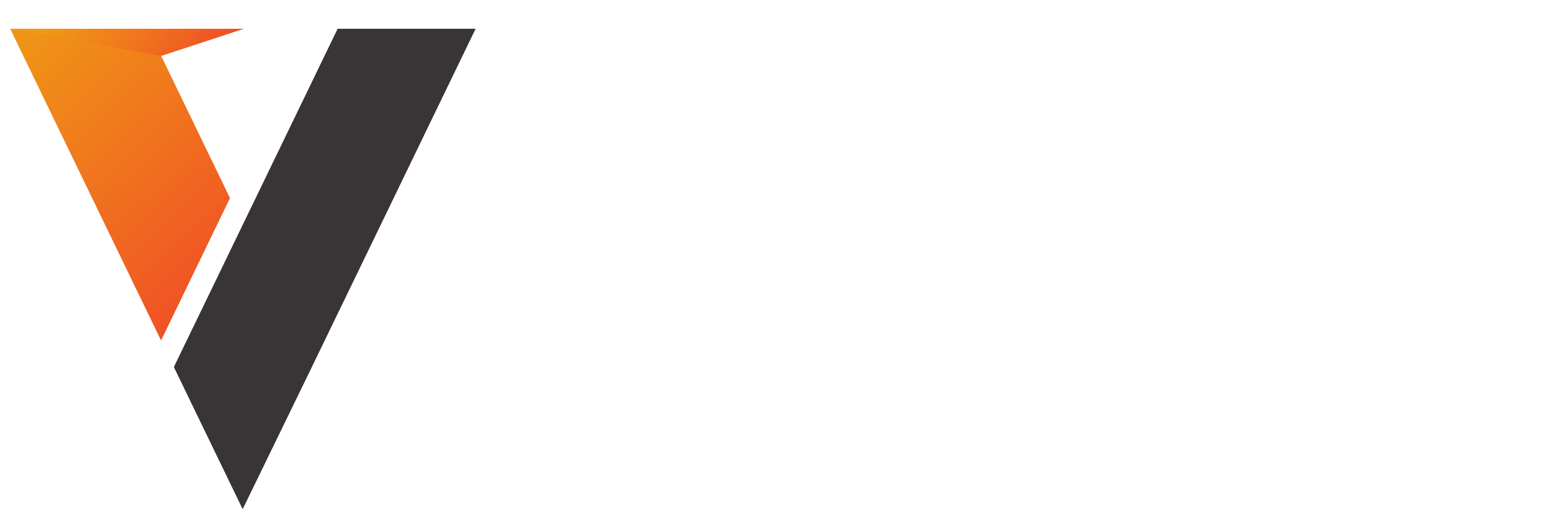 Vision Software Solutions